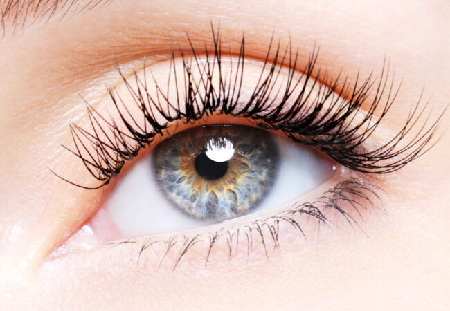 Ranking Of The 6 Best False Cluster Lashes For At-Home Application